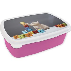 Broodtrommel Roze - Lunchbox - Brooddoos - Een kitten speelt met gekleurde blokken - 18x12x6 cm - Kinderen - Meisje