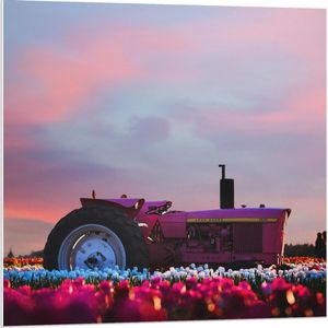 Forex - Roze Tractor Tijdens een Mooie Zonsondergang - 80x80cm Foto op Forex