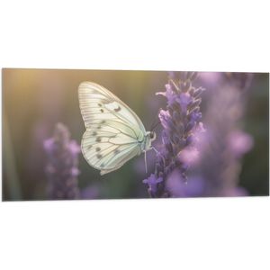 Vlag - Insect - Vlinder - Bloem - Lavendel - 100x50 cm Foto op Polyester Vlag