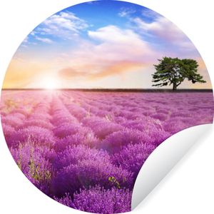 Behangcirkel - Lavendel - Bloemen - Boom - Zon - Landschap - Wanddecoratie cirkel - Behangcirkel bloemen - Zelfklevend behang - 50x50 cm - Behang zelfklevend - Rond behang - Cirkel behang