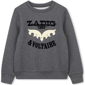 Zadig & Voltaire X60484 Sweatshirt Grijs 4 Years Jongens