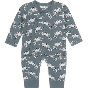 Dirkje Baby Boxpak met Biologisch Katoen Grijsgroen/Wit