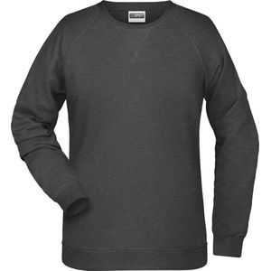 James and Nicholson Dames/dames Raglan Sweatshirt met lange mouwen (Zwarte Heide)