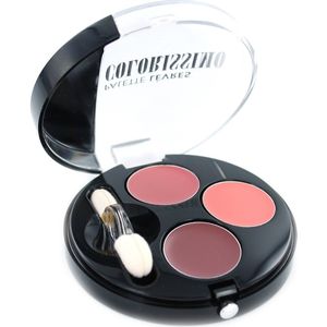 Bourjois Colorissimo Lip Palette - 04 Nudes Dandy