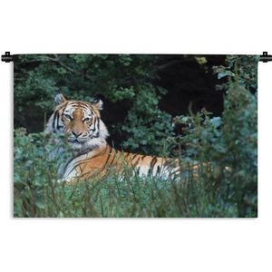 Wandkleed Roofdieren - Siberische tijger in de natuur Wandkleed katoen 180x120 cm - Wandtapijt met foto XXL / Groot formaat!