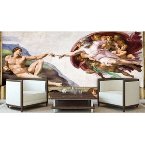 Creation Adam Art Michelangelo Photo Wallcovering