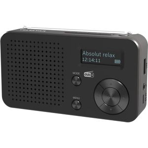 Telestar - TELESTAR TOP 100 - Draagbare Radio - Zwart - DAB+ VHF Bluetooth USB Acculaadfunctie
