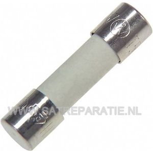 Keramische GLASZEKERING 5X20 F6,3A | Zekering F6.3A H 250V, 2 stuks