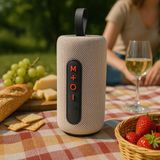 Bluetooth Speaker 16W – Draadloze Speaker Met LED-Verlichting – TWS-Koppeling – Bluetooth 5.4 – USB-C Oplaadbaar – Geschikt Voor Partybox, Karaoke En Muziek Streamen