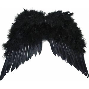 Vleugels met zwarte veren (33x34cm)