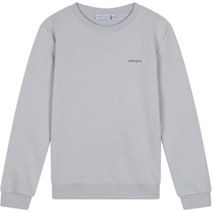 AMBIQUE Sweater Kris Light Grey 105 maat 140