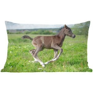 Sierkussens - Kussen - Pasgeboren paard in een groene weide - 50x30 cm - Kussen van katoen