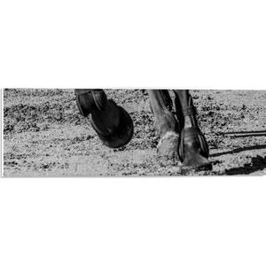 PVC Schuimplaat- Hoeven van Rennend Paard (Zwart- wit) - 60x20 cm Foto op PVC Schuimplaat