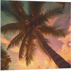 Vlag - Onderaanzicht - Palmbomen - Kleuren - 80x80 cm Foto op Polyester Vlag