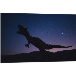 WallClassics - Vlag - Silhouette van een Dinosaurus in de Nacht - 90x60 cm Foto op Polyester Vlag