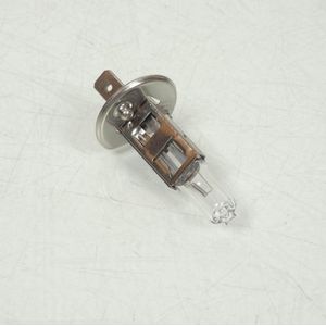 Ampoule Berner pour Moto Aprilia 125 RS Replica 1990 à 2005 H1 blanche 12V 55W P14.5s Neuf