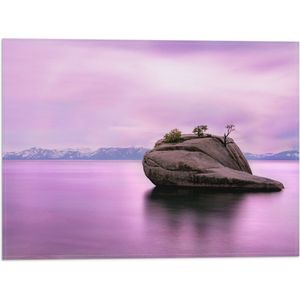 WallClassics - Vlag - Rots in Paars Water - 40x30 cm Foto op Polyester Vlag