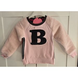 Meisjes Sweater Roze met langemouwen Maat 110