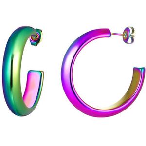 Oorbellen Holografisch - Halve Cirkel - Groen en Paars - Stainless Steel (verkleurt niet!)