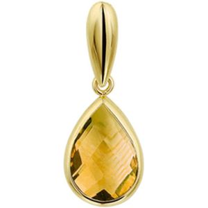 14K geelgoud hanger citrien 4027099