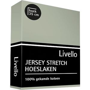 Livello (topper) Hoeslaken Jersey Mineral 140x200