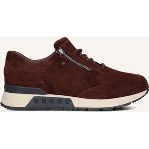 Greve - Haarlem K - Sneakers - Bruin - Heren