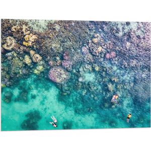 Vlag - Duiken - Snorkelen - Toeristen - Zee - Oceaan - Koraal - 80x60 cm Foto op Polyester Vlag