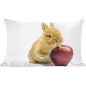 Sierkussens - Kussen - Baby konijn met een appel - 50x30 cm - Kussen van katoen