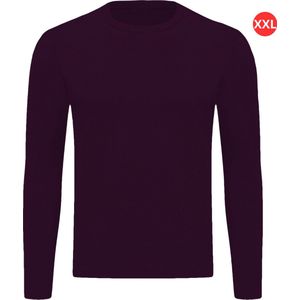 Bovista Thermokleding - Thermoshirt - Thermo - Voor Heren - Shirt - Bordeaux Rood - Maat S