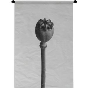Wandkleed Abstract Zwart-Wit - Plant in zwart-wit Wandkleed katoen 60x90 cm - Wandtapijt met foto