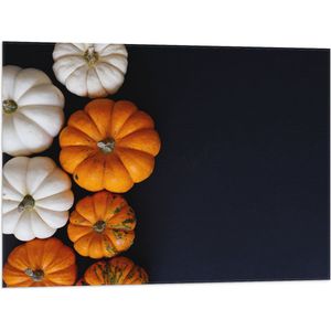 Vlag - Wit met Oranje Pompoenen op Zwarte Achtergrond - 80x60 cm Foto op Polyester Vlag