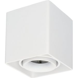 Dimbare LED opbouw plafondspot Esto GU10 Wit IP20 kantelbaar excl. lichtbron