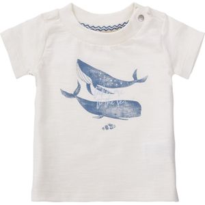 Noppies Jongens Tshirt Montevallo Pristine - 56