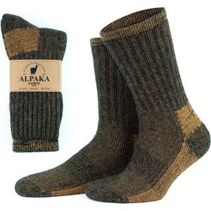 GoWith Diabetes Alpaca Wollen Sokken-2 paar-Thermosokken-Maat 35-38