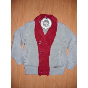 jongens vest maat  98