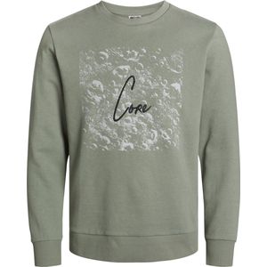 JACK&JONES JCOAOP LUNER SWEAT CREW NECK SMU Heren Trui - Maat L