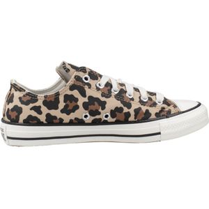 Converse  CHUCK TAYLOR ALL STAR  Sneakers  kind Bruin