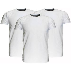 Fruit Of The Loom Blanco Katoenen T-Shirts 3 stuks pakket Grijs Gemeleerd, Maat:  XXL