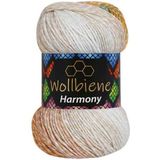 Wollbiene Harmony - Verloopgaren - Acryl/Katoen - Breien - Haken - 100 gram - 225 meter - 8080