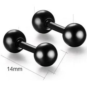 Stalen Stud Oorbellen - Dubbele Bol – Zwart