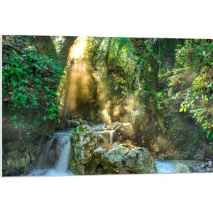 PVC Schuimplaat - Water - Waterval - Planten - Bomen - Stenen - Zon - 90x60 cm Foto op PVC Schuimplaat (Met Ophangsysteem)