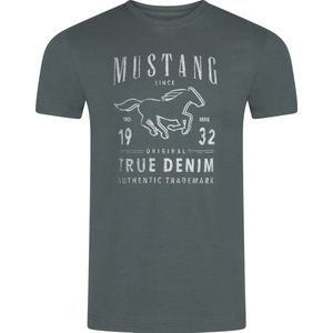 Mustang Heren T-Shirt regular fit Groen 6XL Ronde Hals Volwassenen Opdruk Print Shirts