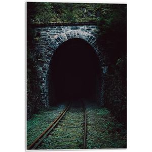Forex - Donkere Tunnel met Rails - 40x60cm Foto op Forex