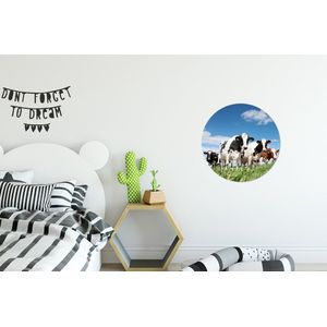Behangcirkel - Zelfklevend behang - Koeien - Koe - Dieren - Natuur - Weiland - Rond behang - Cirkel behang - Behangcirkel dieren - ⌀ 30 cm - Behangsticker - Behangcirkel zelfklevend - Muurdecoratie rond