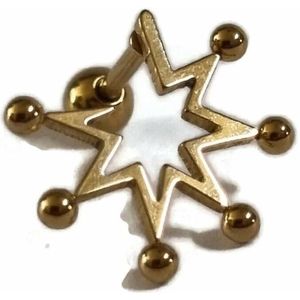 Goudkleur Helix Piercing - Chirurgisch Stalen oorpiercing