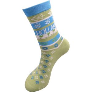 Robin Ruth Sokken Holland groen blauw  36-41