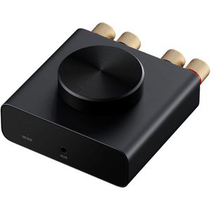 ApexArte - Mini Digitale Versterker - Zwart - Hifi Audio Versterker