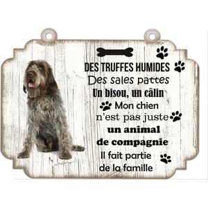 Tableau Déco - Griffon Korthals