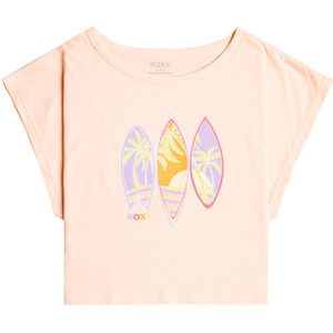 Roxy Rock With U B T-shirt Met Korte Mouwen Oranje 16 Years Meisjes