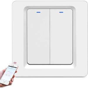 Slimme WiFi Lichtschakelaar met Spraakbesturing en Afstandsbediening - Draadloze 2-Pins Schakelaar voor Smart Home